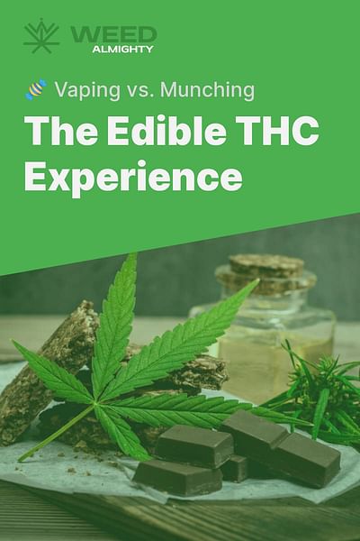 The Edible THC Experience - 🍬 Vaping vs. Munching