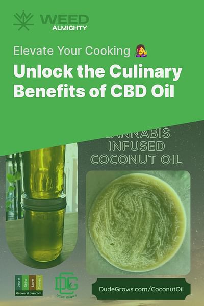 Unlock the Culinary Benefits of CBD Oil - Elevate Your Cooking 👩‍🎤