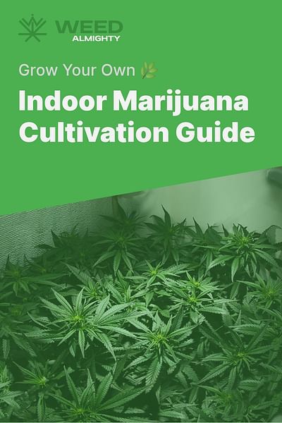 Indoor Marijuana Cultivation Guide - Grow Your Own 🌿