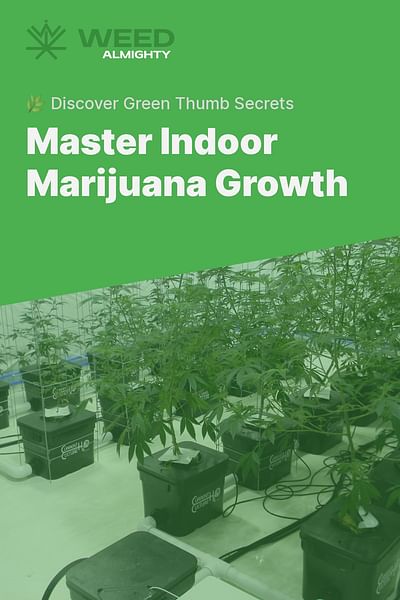 Master Indoor Marijuana Growth - 🌿 Discover Green Thumb Secrets