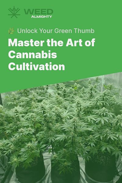 Master the Art of Cannabis Cultivation - 🌿 Unlock Your Green Thumb