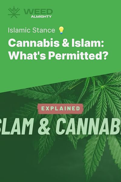 Cannabis & Islam: What's Permitted? - Islamic Stance 💡