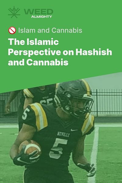 The Islamic Perspective on Hashish and Cannabis - 🚫 Islam and Cannabis