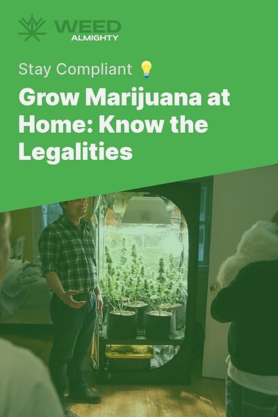 Grow Marijuana at Home: Know the Legalities - Stay Compliant 💡