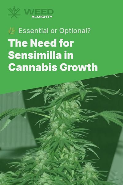The Need for Sensimilla in Cannabis Growth - 🌿 Essential or Optional?