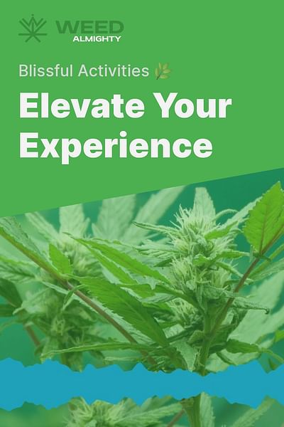 Elevate Your Experience - Blissful Activities 🌿