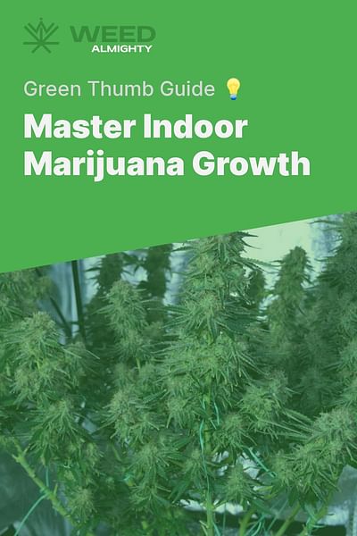 Master Indoor Marijuana Growth - Green Thumb Guide 💡