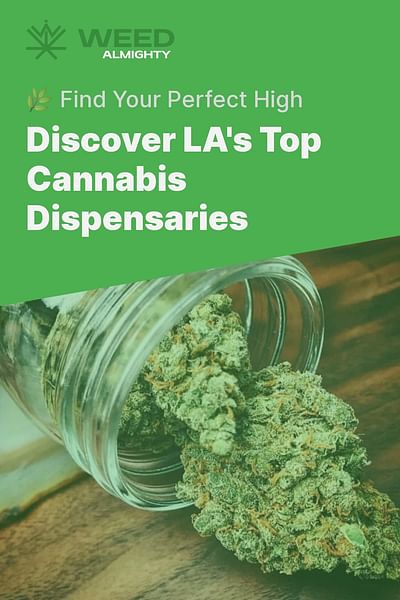 Discover LA's Top Cannabis Dispensaries - 🌿 Find Your Perfect High
