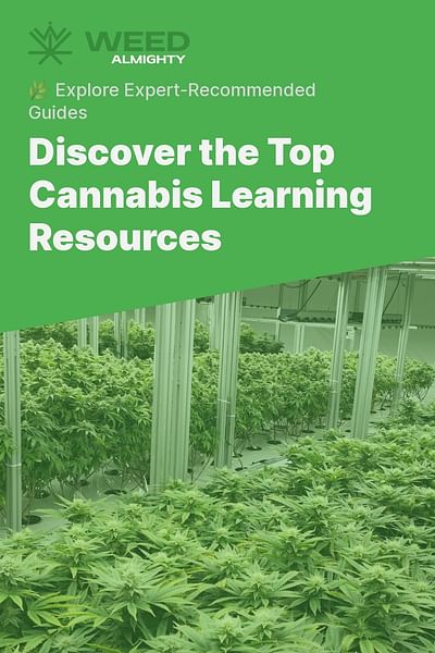 Discover the Top Cannabis Learning Resources - 🌿 Explore Expert-Recommended Guides
