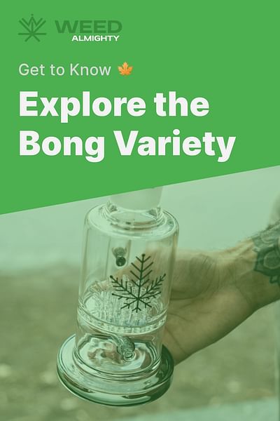 Explore the Bong Variety - Get to Know 🍁