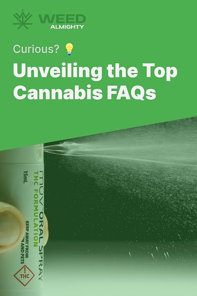 Unveiling the Top Cannabis FAQs - Curious? 💡