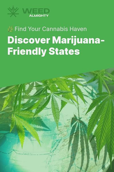 Discover Marijuana-Friendly States - 🌿Find Your Cannabis Haven