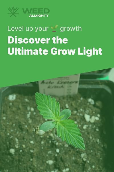 Discover the Ultimate Grow Light - Level up your 🌱 growth