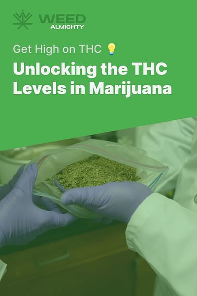 Unlocking the THC Levels in Marijuana - Get High on THC 💡