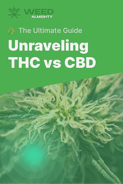 Unraveling THC vs CBD - 🌿 The Ultimate Guide