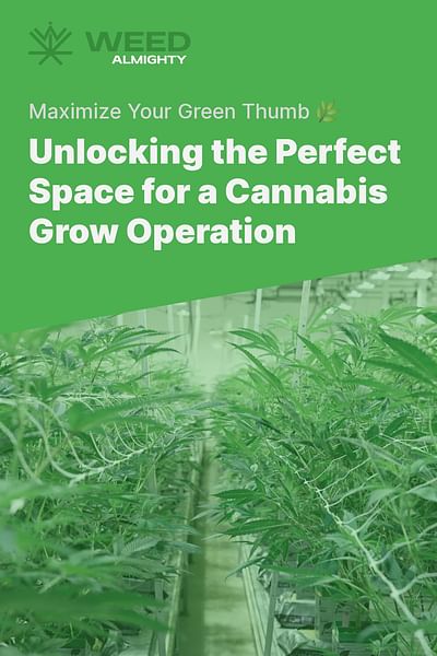 Unlocking the Perfect Space for a Cannabis Grow Operation - Maximize Your Green Thumb 🌿