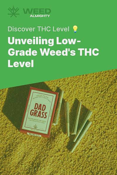 Unveiling Low-Grade Weed's THC Level - Discover THC Level 💡