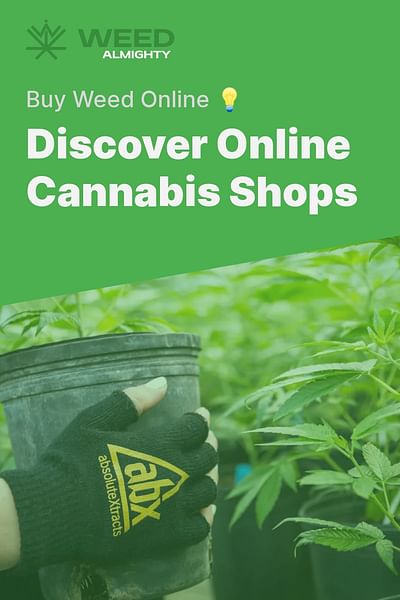 Discover Online Cannabis Shops - Buy Weed Online 💡