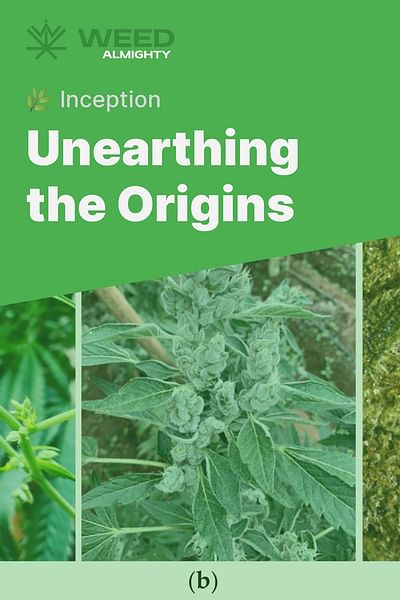 Unearthing the Origins - 🌿 Inception