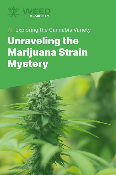 Unraveling the Marijuana Strain Mystery - 🌿 Exploring the Cannabis Variety