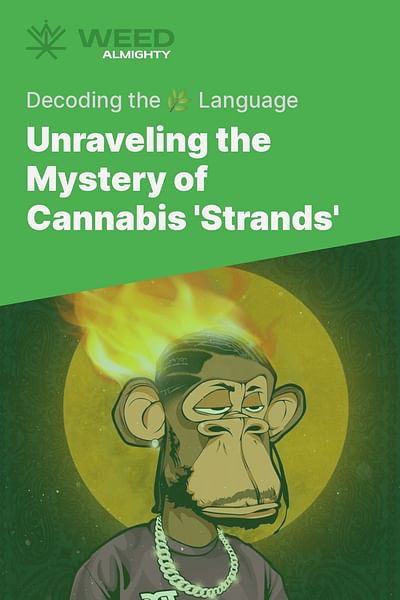 Unraveling the Mystery of Cannabis 'Strands' - Decoding the 🌿 Language