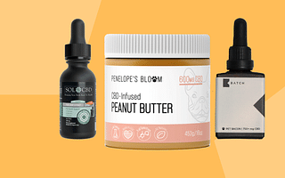 How can I choose the right CBD product for me?
