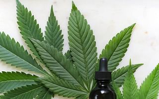 What are some good recipes for preparing cannabis tincture?