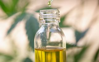 What is the role of CBD oil in the world of cannabis?
